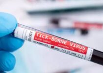 Tick borne virus